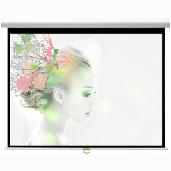 Проекционный экран Classic Solution Premier Orion II 305x205 (16:9) (W 295x166/9 МW-FC/W)
